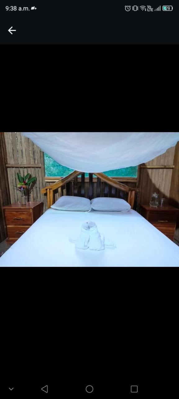 Hostel Castana Amazon Park Puerto Maldonado Exterior foto