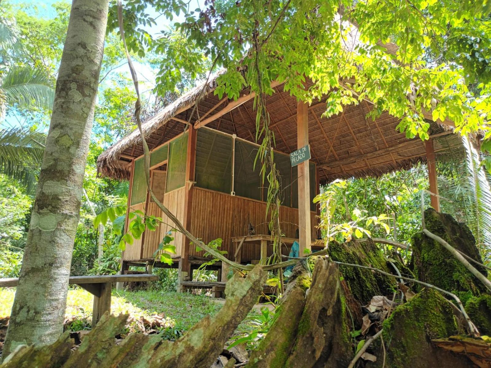 Hostel Castana Amazon Park Puerto Maldonado Exterior foto