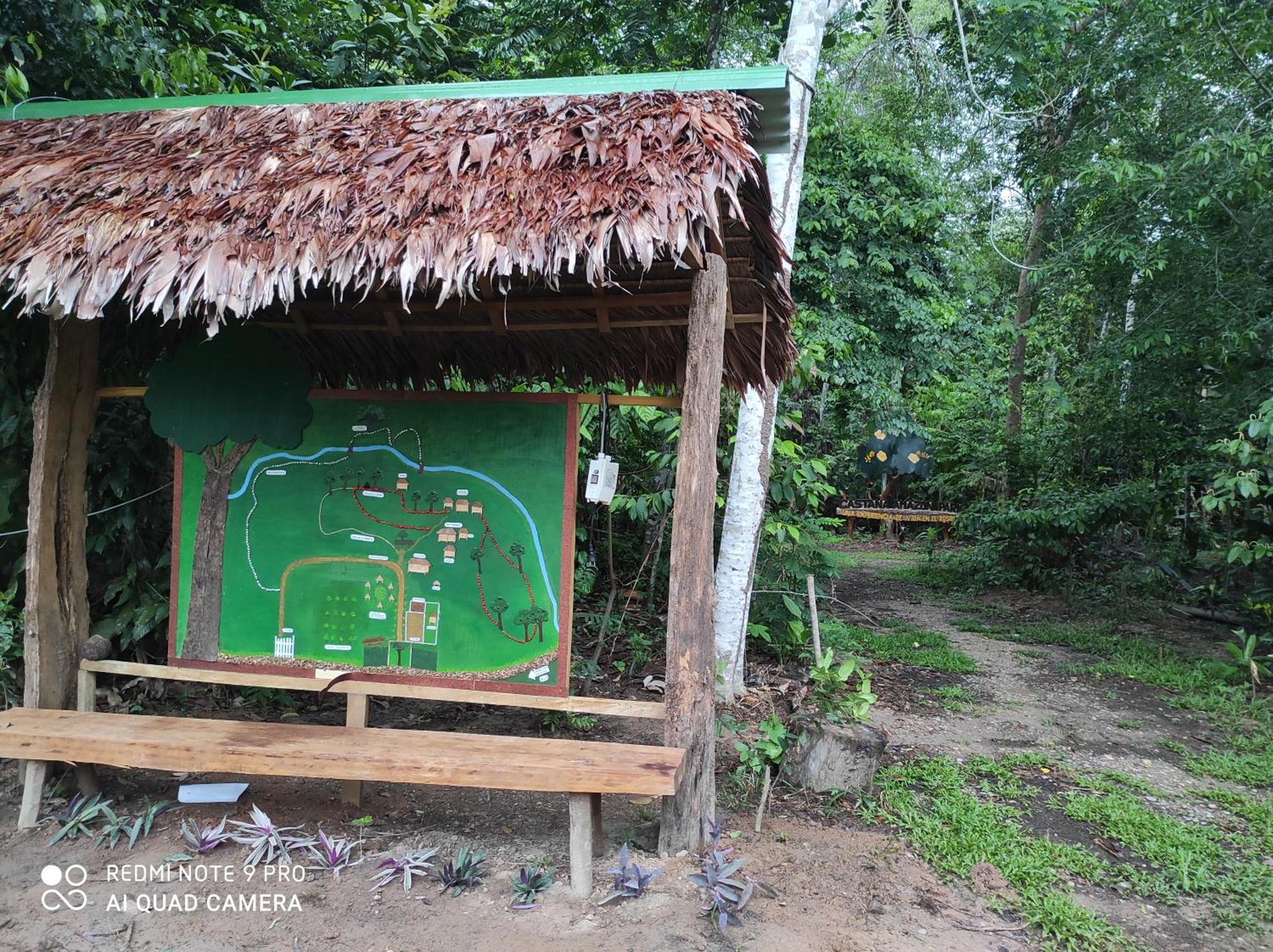 Hostel Castana Amazon Park Puerto Maldonado Exterior foto